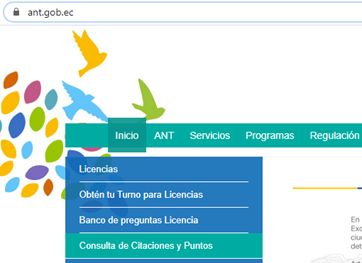 asp leg compra carro usado04